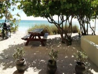 Picnic Area at the Beach